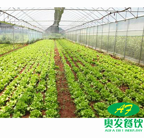 武汉学校食堂承包工作应该如何做到更好？