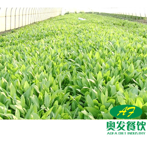 武汉蔬菜配送时要注意什么？