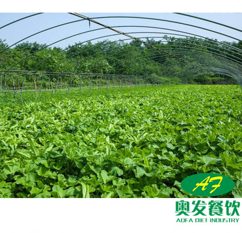 武汉蔬菜配送的运作流程是怎样的？